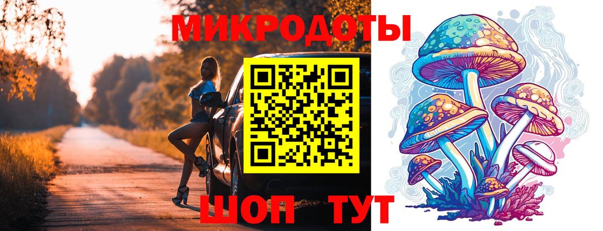 Галлюциногенные грибы Psilocybine cubensis Ртищево